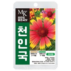 모칸도 좋은씨앗 천인국 씨앗 200립 일반종 꽃씨 꽃씨앗, 1개