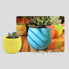 티에스몰 미니 화분 다육이화분, 랜덤 대, 1개