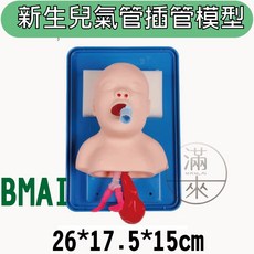 新生兒 嬰兒 氣管插管模型 練習 插管練習 客滿來, 1個, 新生兒氣管插管模型BMAI