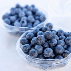 탱글탱글 고당도 프리미엄 칠레산 생블루베리, 2개, 125g(팩당)
