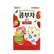 담터 탄산 콤부차 발효차 음료 딸기 10T, 5g, 10, 1