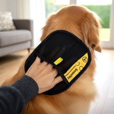 글러브 글러브길들이기