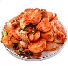 [외갓집] 당일제조 전라도 무안 양파김치, 5kg, 1개