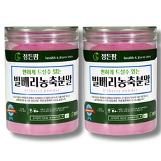 고농축 야생 빌베리 농축 분말 파우더 안토시아닌 노화방지 눈건강 스푼증정, 2세트, 260g
