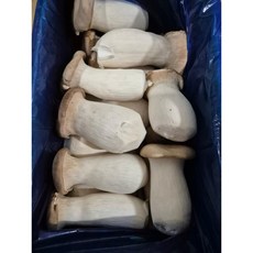 허니머쉬새송이 2kg, 특