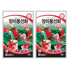 장미봉선화 씨앗 20립 겹꽃봉선화 꽃씨앗 세계종묘 모칸도, 2개