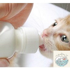 밀짚모자 상단 도기프랜드 우유병세트 애묘젖병 애견젖병 강아지젖병소형