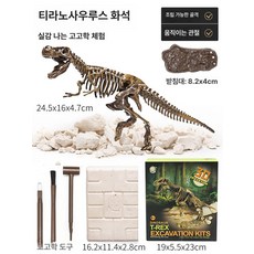 TOMMYFIELD 공룡 발굴 화석 장난감 티라노사우루스 공룡 화석 선물 뼈 큰 어린이 키트 장난감, 1개