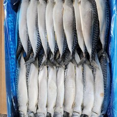 착한물고기 식당용 국내산 자반고등어 업소용 노르웨이, 1개, 노르웨이 자반고등어 350g 내외 10마리