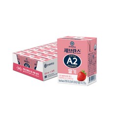 연세우유 A2 딸기우유 멸균 가공우유, 96개, 125ml