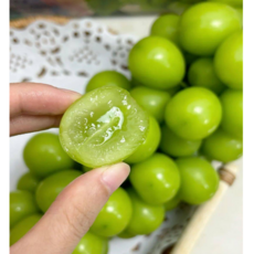 [당도보장] 프리미엄 고당도 오톰크리스피 애플청포도, 1개, 1kg