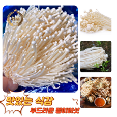 [굿피플] 팽이버섯 버섯팽이 곰곰팽이버섯 버섯 국내산팽이버섯 황금팽이버섯 벌크팽이버섯, 1박스, 팽이버섯 벌크 2kg