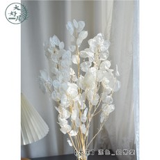 大好屋乾燥銀葉 花藝裝飾DIY批發, 1個, 【大束】漂色_銀幣葉
