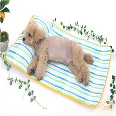 온빛마켓 패리스독 여름낮잠베드 노견방석