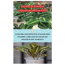 (영문도서) The Best of Marantas Leuconeura-Prayer Plant: A Concise and Effective Ways on How to Grow Care and ... Paperback, Independently Published, English, 9798719137056