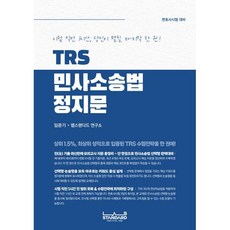 TRS 민사소송법 정지문, 랩스탠다드