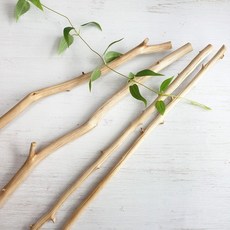 내추럴 나뭇가지 마끈포함, 오리지널1, 50cm