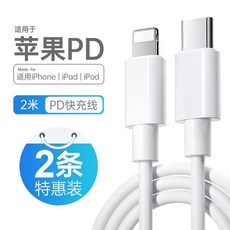 퐁당 히터 온수 히터봉 온수기 수중 캠핑 온수코일 욕조, I. .0m PD 고 충전 케이블 개입 특별