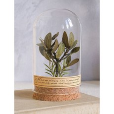 台灣熱賣復古植物標本永生花擺件，向日葵玻璃罩微景觀裝飾，桌面文藝氣息擺設, 小樹 （小號）7cm*13cm