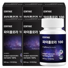 파이플로라 100, 6개, 120정