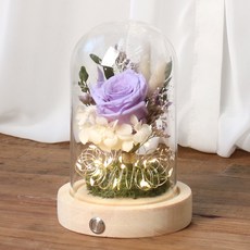ROMANTIC NOVEMBER 玫瑰永生花造型圓頂玻璃LED燈, 玫瑰紫色(天然)