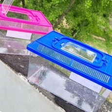 LLV 곤충채집통(L) 달팽이사육장, 랜덤1개