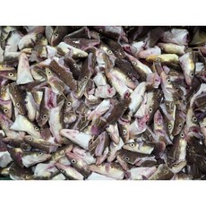 국내산 바다장어뼈 머리 장어탕용 국거리용 구이용, 1개, 장어머리500g