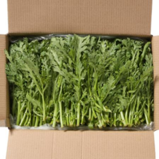 쑥갓 4kg / 1박스 업소용 식당용 야채