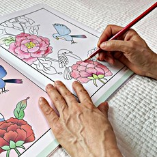 어르신 색칠공부 기억력 강화 추억회상 인지향상 꽃, 2. 2단계 꽃 과일 동물(컬러링북단품)