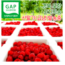 포항 햇 산딸기 냉동산딸기 산지직송 500g 1kg 2kg, 250g, 2개