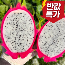 [백화점납품용] 프리미엄 베트남 백 용과, 1개, 5kg