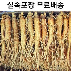 국내산 5년근 인삼 12-15뿌리 금산인삼, 700g, 1개, 700g