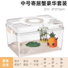 寄居蟹飼養箱套裝, 1個