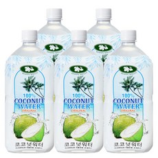 해피웰 코코넛워터 1 000ml(고당도) 대용량, 5개, 1L