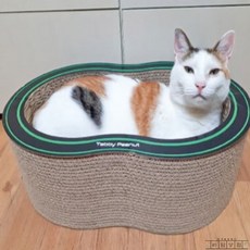 라담상점 스크래쳐박스 박스스크래쳐