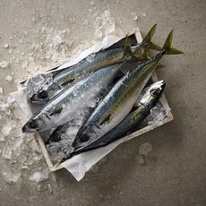 제주창해수산 산지직송! 제주 등푸른 자반 고등어 특대 1마리당 400g이상, 4개, 마리당 400g이상