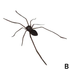 2025 달력 크리 에이 티브 데스크탑 책상 장식 눈사람 3D 입체 조각 스티커 메모, 02 B, 01 CN