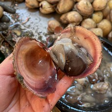 [특품] 남해 손질 새조개 큰 새조개살, 1개, 200g