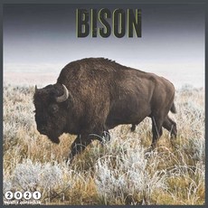 Bison 2021 Calendar: Official Bisons 2021 Wall Calendar 18 Month Paperback, Independently Published
