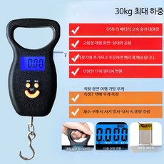 휴대용 디지털 전자저울 초정밀 미니 손저울 여행용 수하물 계량용 LCD포켓 소형 저울, 단일 모델, 손잡이 저울 블랙 30kg 백라이트 충전식, 30kg