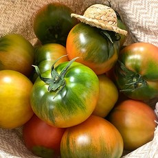 부산 대저토마토 일반과(가정용) 2.5kg S~M (랜덤과), 01번 2.5kg S~M(랜덤과)/3~6번과, 1개