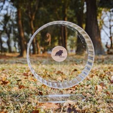 【3隻貓】倉鼠跑輪 26公分大尺寸靜音跑輪 透明可倒掛 艾特卡布星跑輪, 1個, 壓克力, 透明