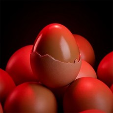 청라상회 구운계란 20구 40구 무항생제 HACCP 인증 (원적외선), 1개