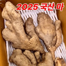 [오늘특가] 국내산 마 산마 참마, 1박스, 오늘특가 3kg_실속 혼합