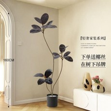仿真黑金剛橡皮樹 1.4米 大型室內盆栽擺件, 1個, 仿真黑橡樹1.6m3頭,+白半圓盆送掛牌+椰絲