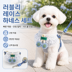 강아지 하네스 리드줄 세트 소형견 귀여운 레이스 가슴줄 목줄 일체형 산책용 반려동물 외출용 리드, 1개, 파란색