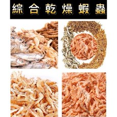 多種刺蝟營養零食：乾燥南極蝦、麵包蟲、大麥蟲、蠅蛆、黑水虻、鳳凰蟲，豐富蛋白質鈣質, 1個, 黑水虻乾100克