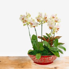 에버스트링라이트MTFF024, 서울특별시／광역시／경기도, 베이직, 필요없음