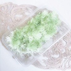 台灣出貨 裝飾 幹花束 花束永生花干花蓬萊松小份做手工禮物浮游暴力熊配草配屬情人母親節日, 白奶油綠漸變約4克左右