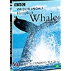 [DVD] 혹등고래 : 와일드라이프 스페셜